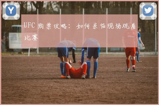 UFC 购票攻略：如何亲临现场观看比赛